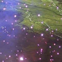 Ruben Aram Ter-Akopow