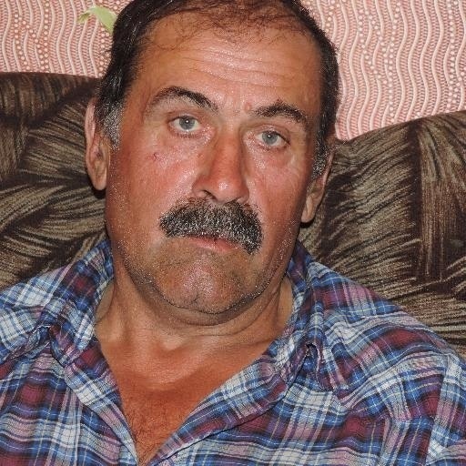 Анатолий Гомелев