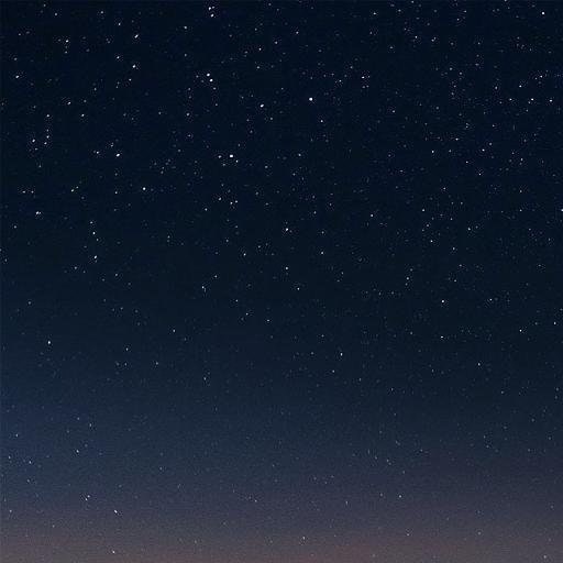 杨晨昀 Yangchenyun