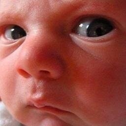 Роман Дягилев