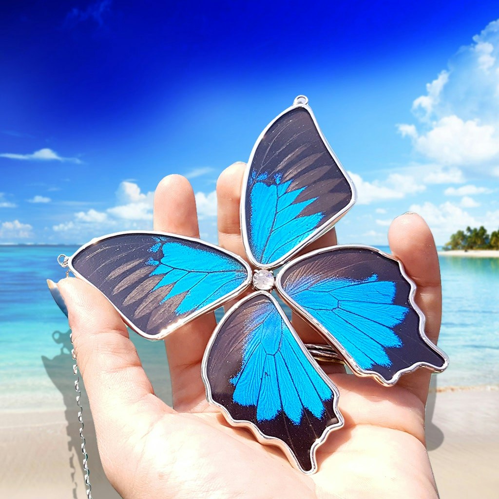 Stephen @ Terra Eclat