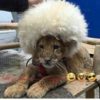 Хизбула Хизбулаев