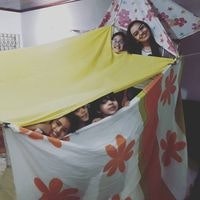 Nicholas Figueiredo Bassi