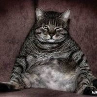 Олифар Муди