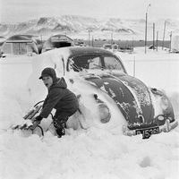 デービッド ボナ