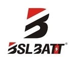 Lithiumforklift battery