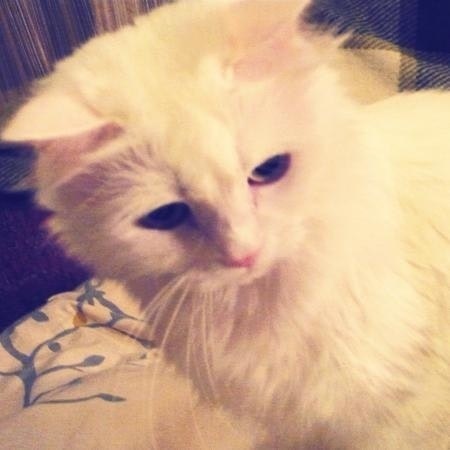 Наташа Маторина