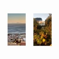 Maria Chiara Continillo