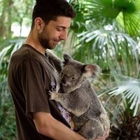 Aleksandar Obradovic