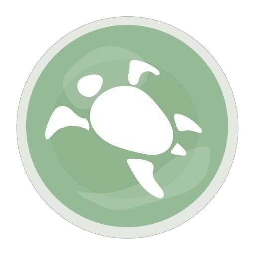 Atomic Rocket Turtle