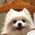 ProductHunt profile picture for @rique
