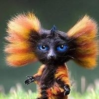 Екатерина Деркач