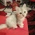 Kenzy Talya (Spacial Girls)