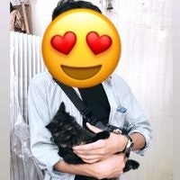 Мөнхтүшиг Төмөрбаатар