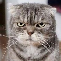 А. Жаргалсайхан