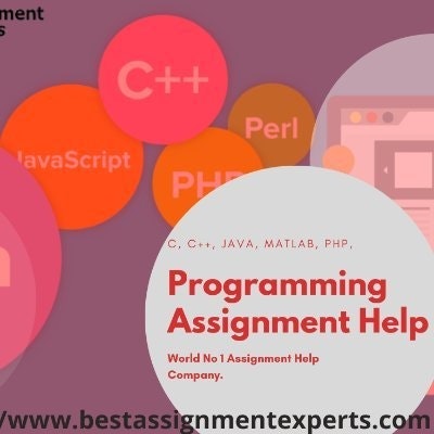 Best Assignment Experts