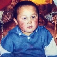 Dambadarjaa Giimaajav