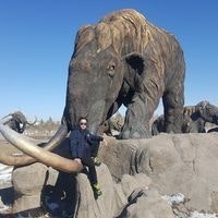 Д. Шинэбаяр