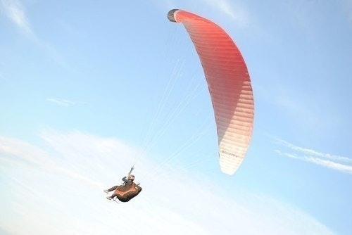 Паляева Вероника