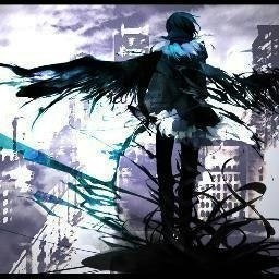 Влад Шевченко