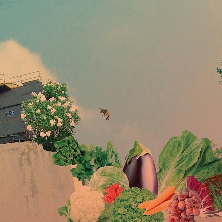 ONYA CITY COLLECTIVE