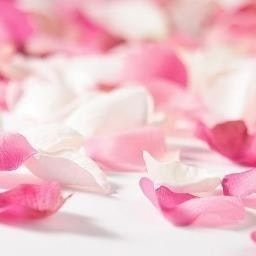 Fashion Beauty Style