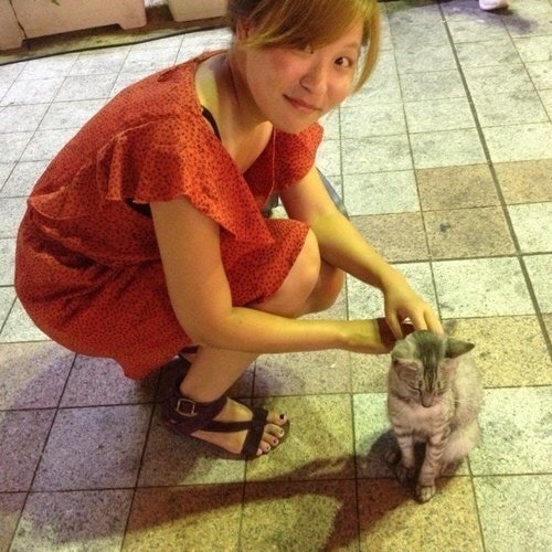 고삐풀린 망아지