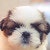 ProductHunt profile picture for @weeb