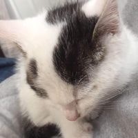 Э. Дэлэгнанзадмаа