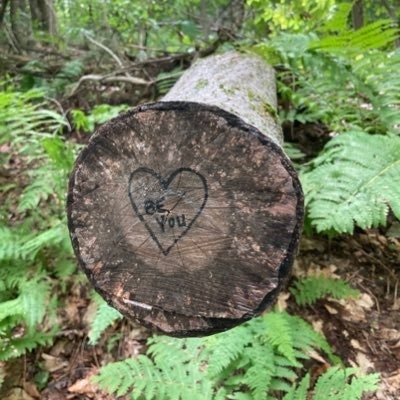 just another hippie skibum