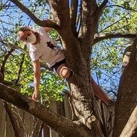 Miranda Dixon-Luinenburg