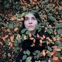 Анастасия Петрова