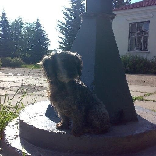 Янчик Попова