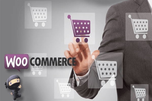 WooCommerce Website Development