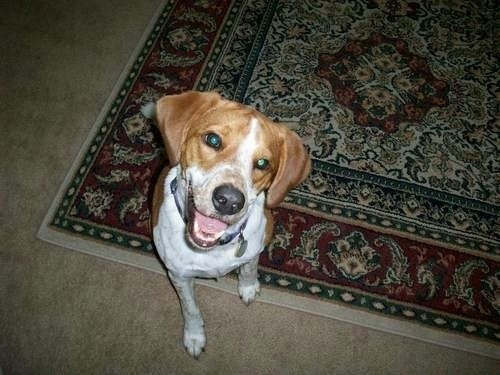 Chadwick A. Wingrave