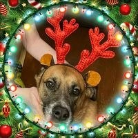 Linette La Marca Walla