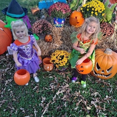 Rhonda LeAnn Harbert