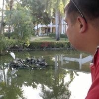 Илья Мирецкий