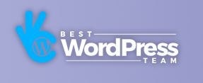 bestwordpressteam