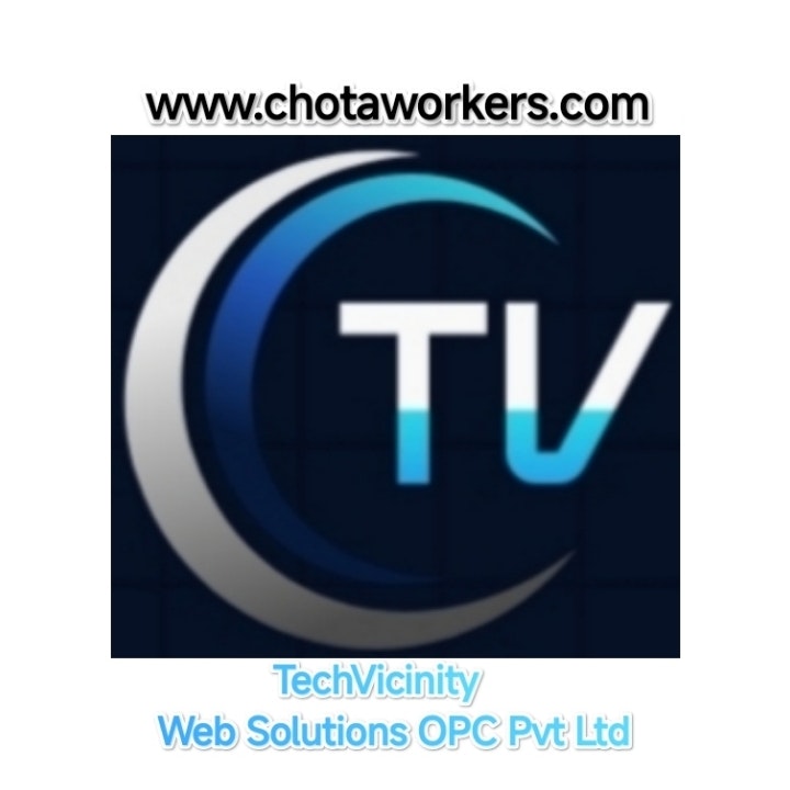 TechVicinity Web Solutions Pvt Ltd 