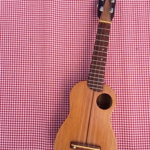 Julie Ukulele
