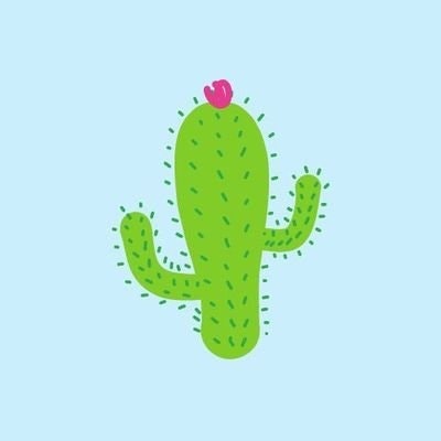 Cactus 🌵