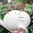 Yong Wu