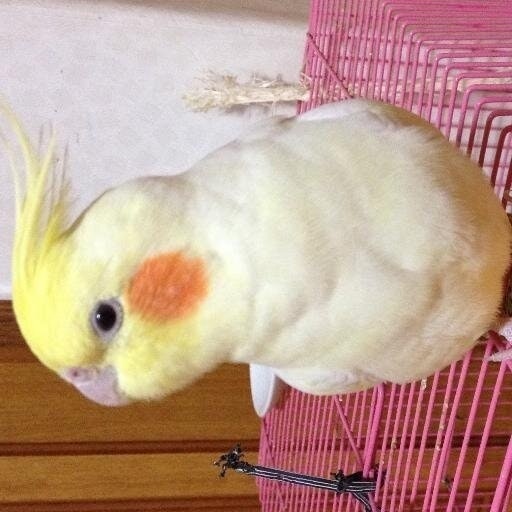 거침없이산다...