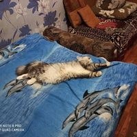 Саня Романюк