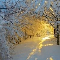 Gohar Gharibyan Kettsyan