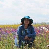 Кристина Борисенко