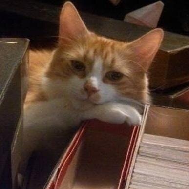 Affordable Coin Shop