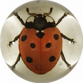 Arlette 🇦🇲 Արլէթ