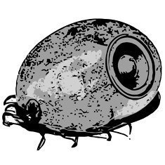 L⅀ ℙДℝД≤iT⅀